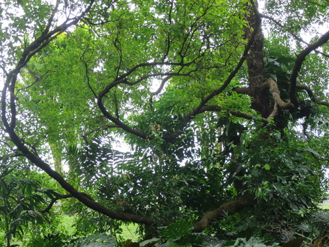 c0212604_7202631.jpg