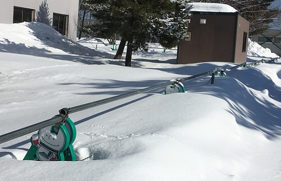雪根開き スナっちの日常 雪根開き スナっちの日常