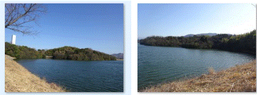 f0231709_01061398.gif