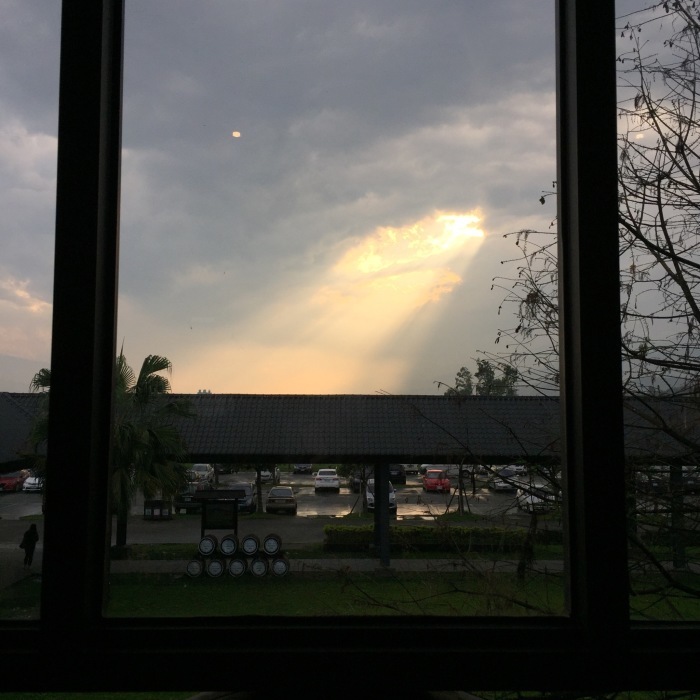 d0138811_21321368.jpeg
