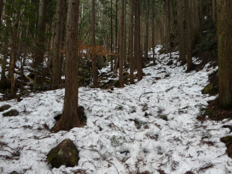 残雪の蕪山 (1,068.9M)   野鳥の森コースを登る_d0170615_19082701.jpg