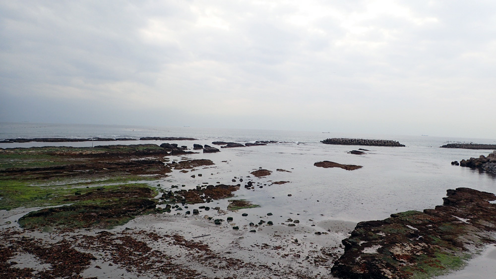 d0171823_21421504.jpg