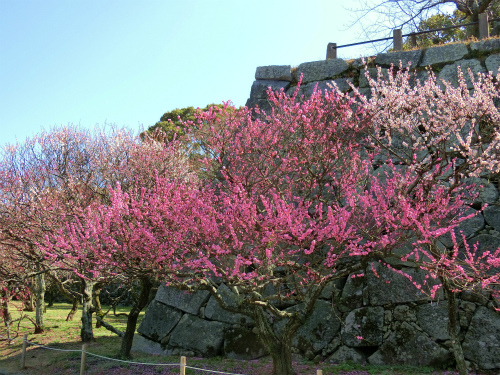b0008825_13520108.jpg