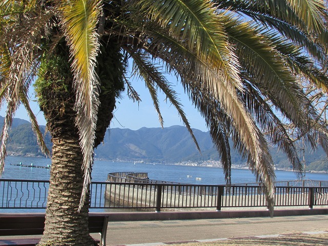 健康ウォーク三木浦コースに参加_e0321325_19141356.jpg