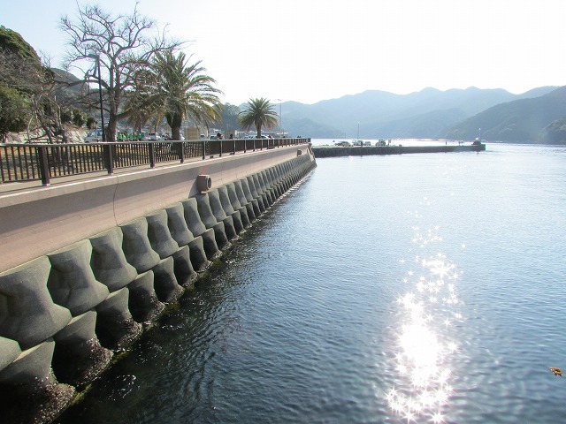 健康ウォーク三木浦コースに参加_e0321325_19152697.jpg