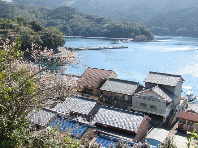健康ウォーク三木浦コースに参加_e0321325_19273536.jpg