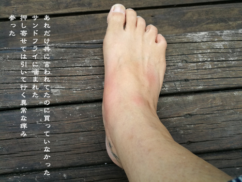 d0042827_16082065.jpg