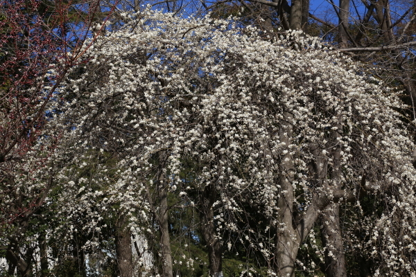 f0229832_23223814.jpg