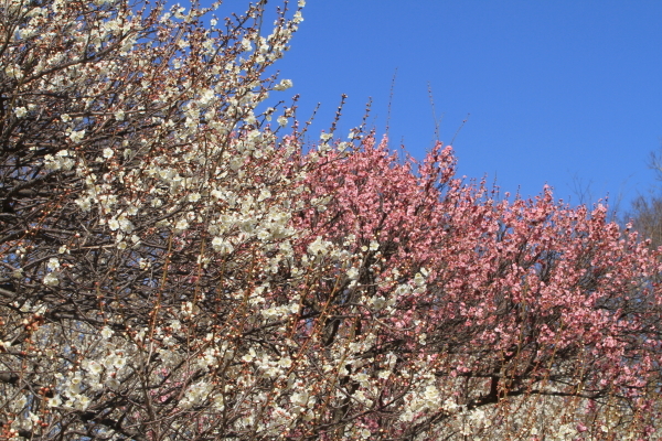 f0229832_23270782.jpg