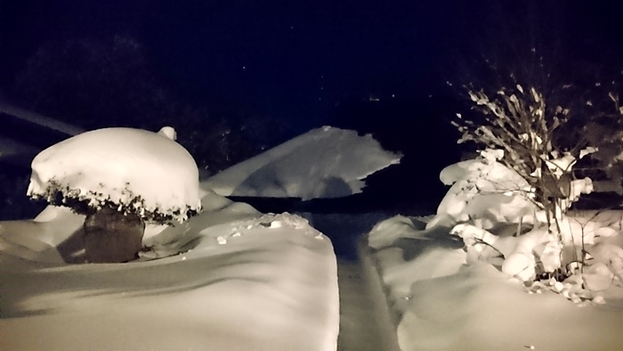 2018年1月14日　大山スノーシュートレック　雪・晴　厳寒_b0195439_09433437.jpg