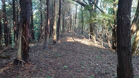 b0282042_11385447.jpg