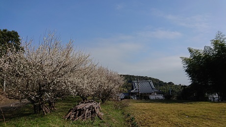 b0282042_11484952.jpg