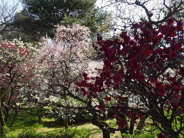 b0299042_18402941.jpg