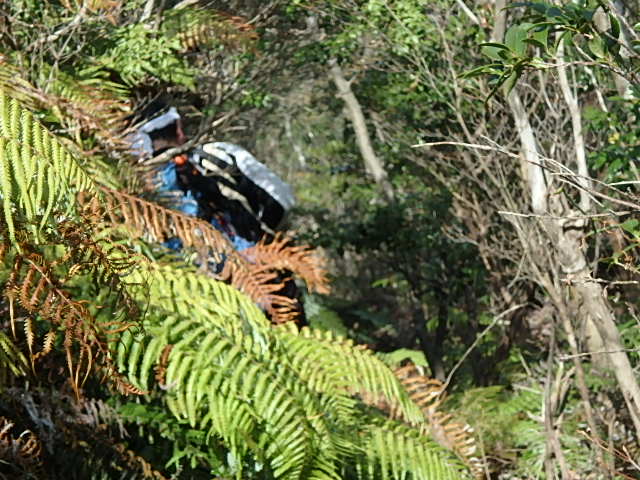 f0334143_12211176.jpg