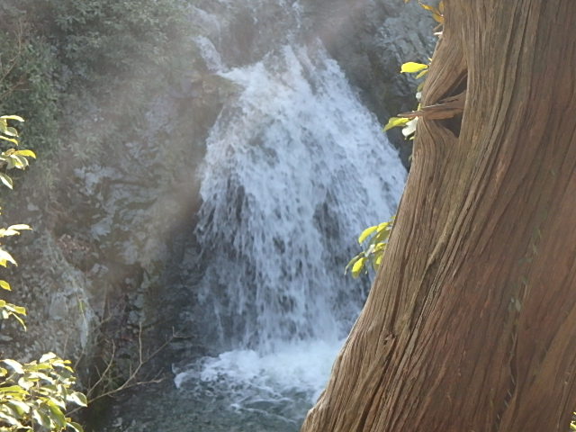 f0334143_12252351.jpg