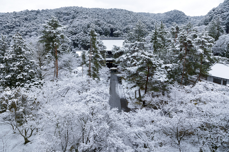 雪の京都2018　南禅寺三門_f0155048_23244753.jpg