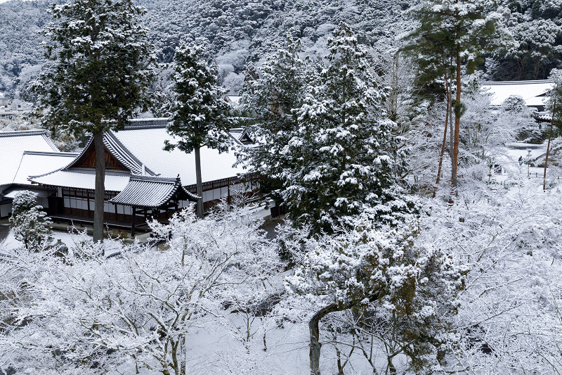 雪の京都2018　南禅寺三門_f0155048_23264491.jpg