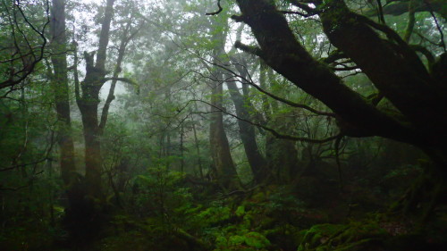 b0160957_16264727.jpg