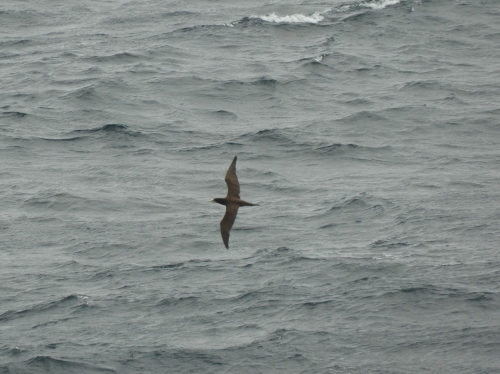 b0160957_16281589.jpg