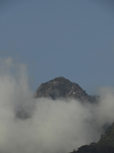 b0160957_16290098.jpg