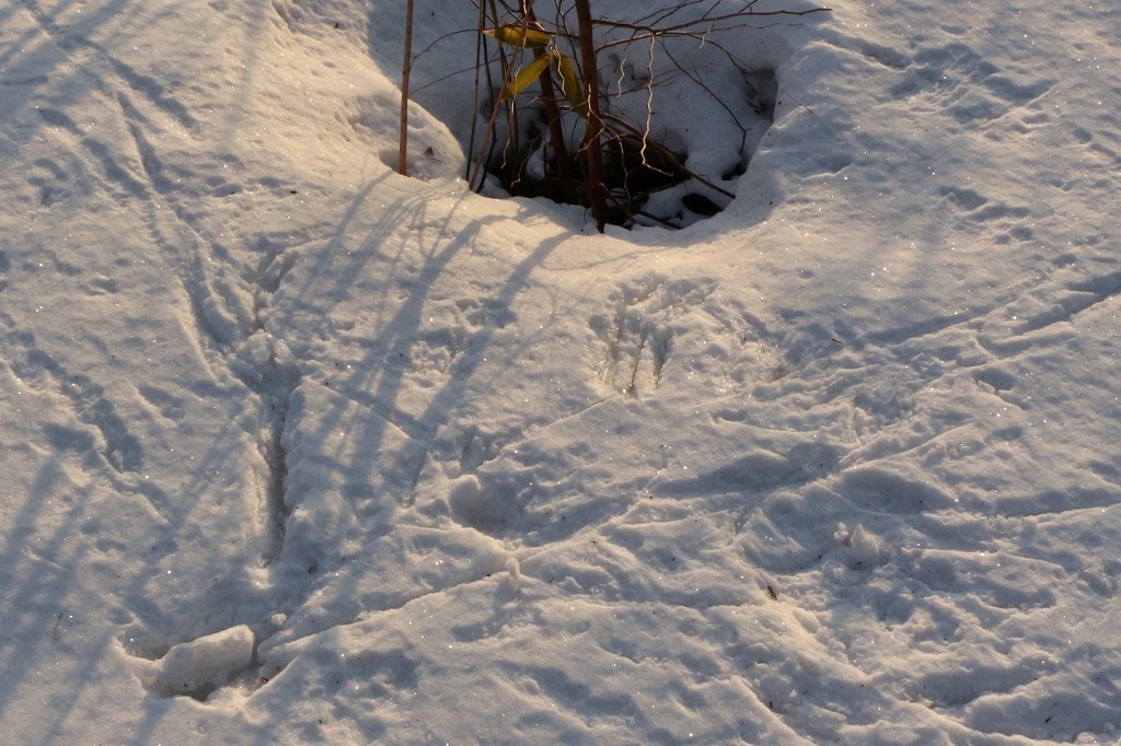 c0294658_22420651.jpg