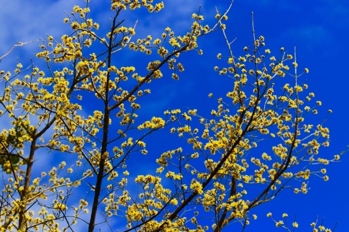 a0248459_14270517.jpg