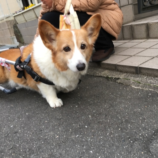 e0359462_08390451.jpeg