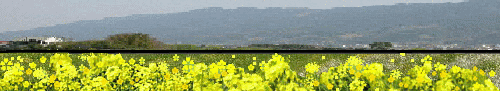 f0214467_18530935.gif