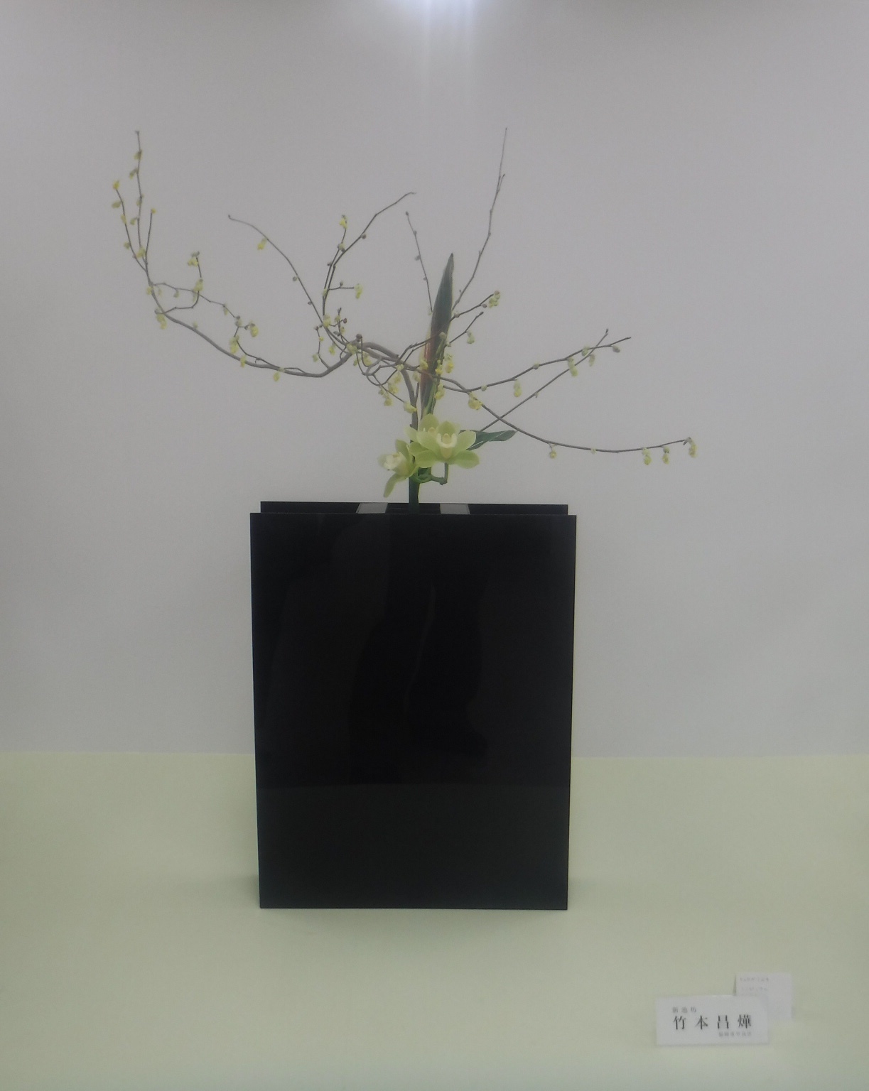 マリンメッセ展示会でも福岡県諸流派華展_d0195183_02522565.jpeg
