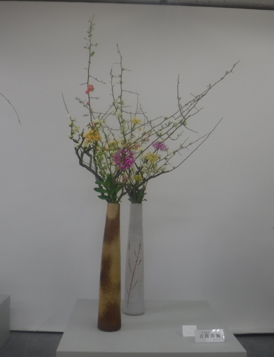 マリンメッセ展示会でも福岡県諸流派華展_d0195183_02530947.jpeg