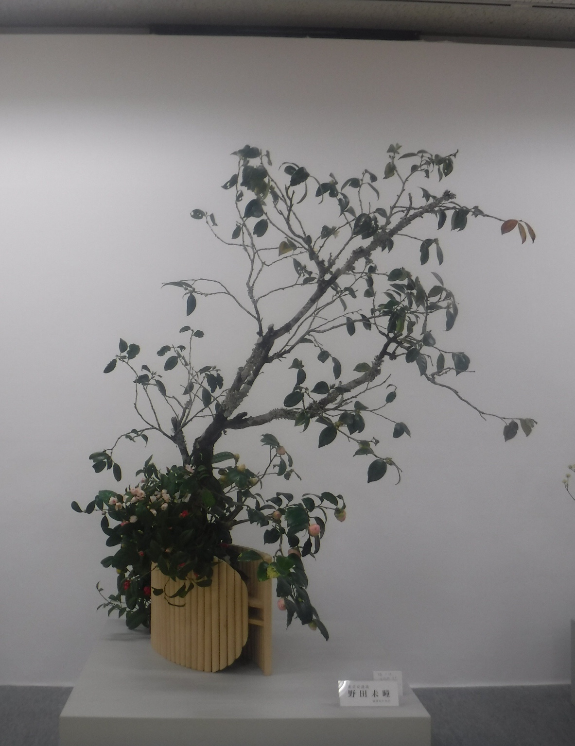 マリンメッセ展示会でも福岡県諸流派華展_d0195183_02544431.jpeg