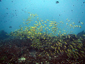 f0144385_06220620.jpg