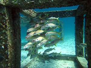 f0144385_06220644.jpg
