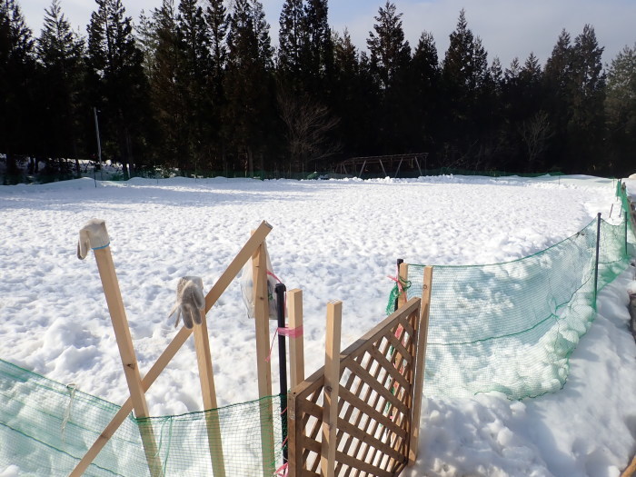 第11回 雪中オフ　３_a0049296_18415842.jpg
