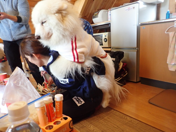 第11回 雪中オフ　３_a0049296_18454151.jpg