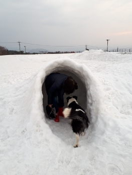 スカッと鳥取☆女子旅（２０１８．２．２５）_b0275308_20254673.jpg