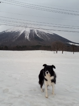 スカッと鳥取☆女子旅（２０１８．２．２５）_b0275308_20255822.jpg