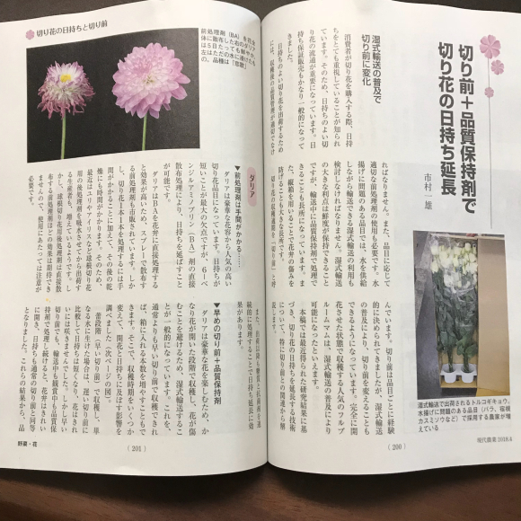現代農業4月号 切り花の日持ちを延ばす技術 土っ子田島farm 現代農業4月号 切り花の日持ちを延ばす技術 土っ子田島farm