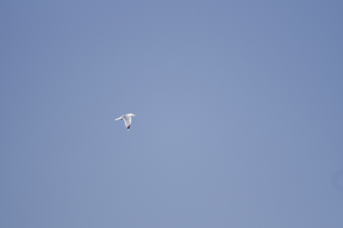 b0151409_21452685.jpg
