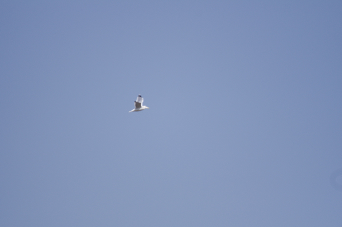b0151409_21454533.jpg