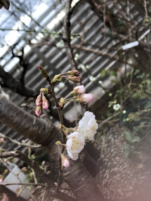 b0163114_17393365.jpeg