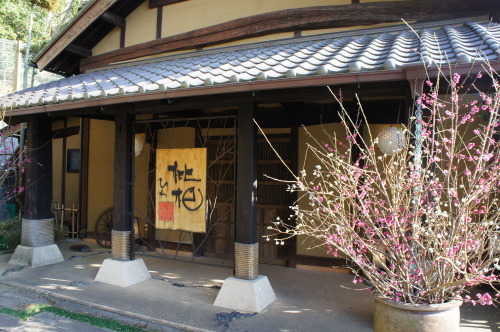 【箱根 伊豆旅行⑧ 無雙庵枇杷(土肥温泉) 館内】_f0215714_15570415.jpg