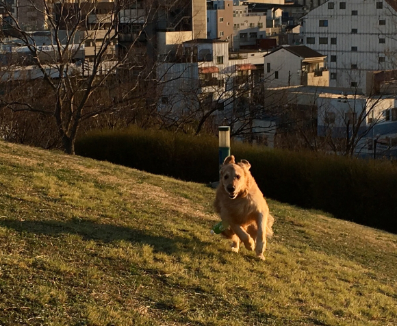 a0098418_15384154.jpg