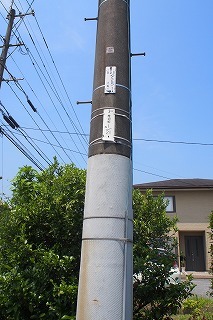 f0190020_07424825.jpg