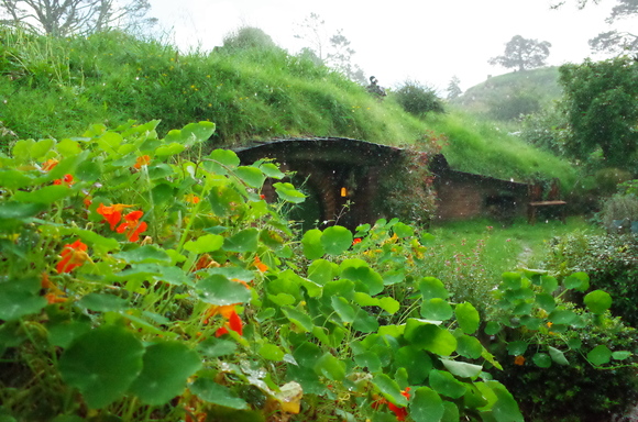 ニュージーランド旅行7日目 その3～Hobbiton Movie Set_a0287336_23141910.jpg