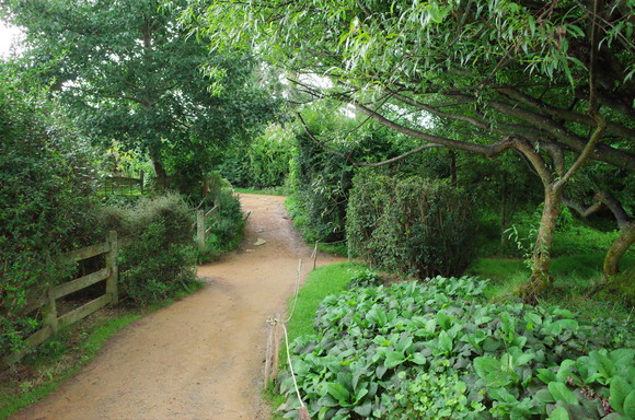 ニュージーランド旅行7日目 その3～Hobbiton Movie Set_a0287336_2324199.jpg