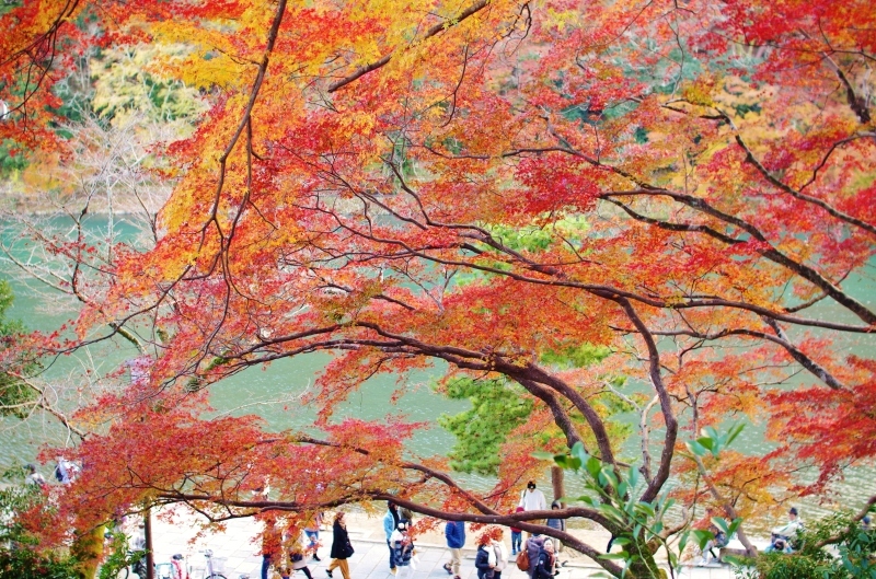 嵐山の紅葉_a0299749_23001987.jpg