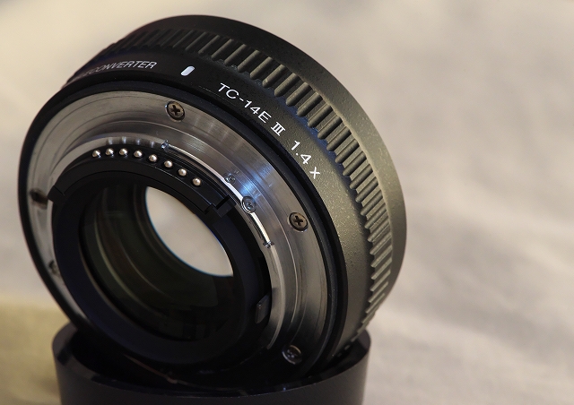 AF-S NIKKOR 70-200mm f/2.8G ED VR II : Patrappi annex AF-S NIKKOR 70-200mm f/2.8G ED VR II : Patrappi annex