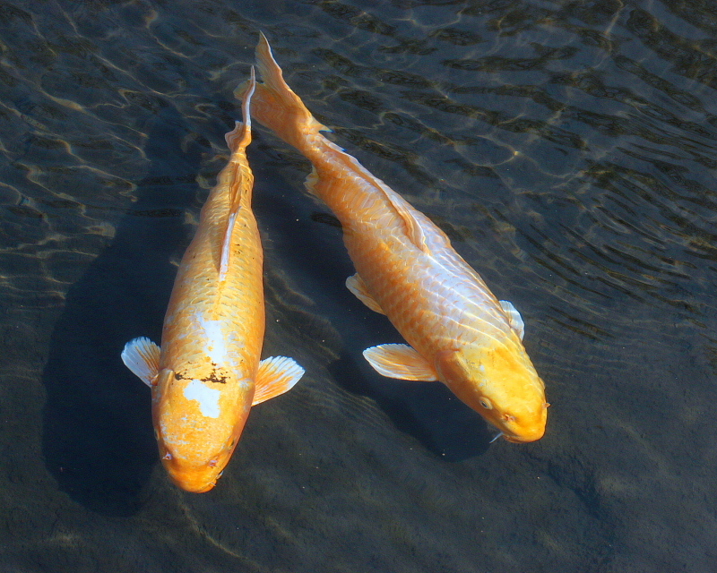 c0305565_17492079.jpg