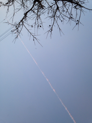  射手座下弦の月☆手放し飛び立つ***_e0290872_10561347.jpg
